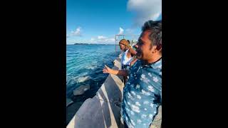 We found Stingray fish in Maldives [upl. by Tessi]