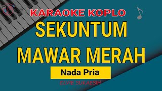 Sekuntum Mawar Merah Karaoke Nada Pria [upl. by O'Mahony]