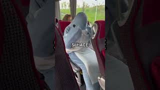 ¿Cuáles Sharklas son mejores para viajar 🤔🦈 [upl. by Su]