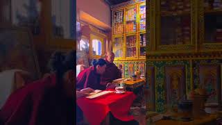 Dzongsar Jamyang Khyentse Rinpoche khenoh metakpa bhutan impermanence bhuddism metakpa37 [upl. by Enylodnewg]