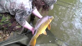 A Session At Pavyotts Mill  Joshes Lake [upl. by Blanc]