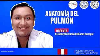 Anatomía del pulmón [upl. by Yerdua]