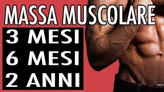 MASSA MUSCOLARE QUANTO TEMPO CI VUOLE PER I RISULTATI [upl. by Ellemaj312]