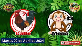 ESTE TRIPLE SALE HOY y PELIGROSO ESTE ANIMALITO EN GUÁCHARO  EL CHALANERO  2 DE ABRIL DE 2024 [upl. by Hanikehs259]