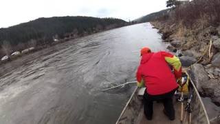 Steelhead fishing Feb 2017 Orofino Chuck Taylor style [upl. by Ogren]