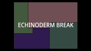 Echinoderm Break Trailer [upl. by Sucramrej]