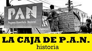 La estafa de la caja PAN durante el Alfonsinismo 19841990 [upl. by Ehudd120]