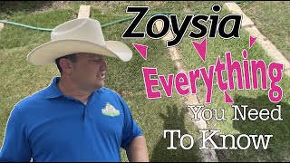 Everything You Need To Know About Zoysia Grass [upl. by Elburr]