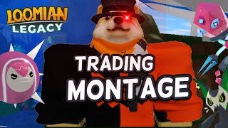 The RETURNING Loomian Legacy Trading Montage [upl. by Oswal967]