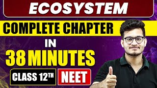 Ecosystem in 38 Minutes  Full Chapter Revision  Class 12th NEET [upl. by Gabby]