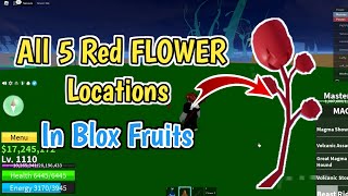 How To Find Red Flower In Blox Fruits 2024  All Red Flower Locations In Blox Fruits [upl. by Peppy]