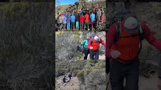 Mount Kilimanjaro Hiking Highlights [upl. by Remled]