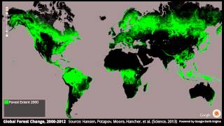 Global Forest Change 20002012 [upl. by Bonni]