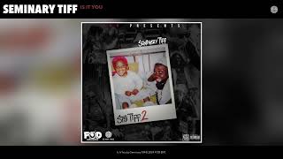 Seminary Tiff  Is It You Official Audio [upl. by Alroy]