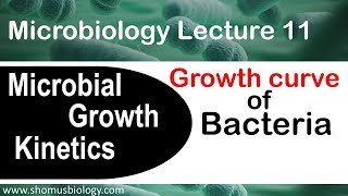 Bacterial growth curve microbiology  Log phase lag phase stationary phase in microbial growth [upl. by Roldan]