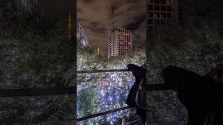 Roppongi Hills Christmas 2024 櫸樹坂霓彩燈飾 [upl. by Gilbertina]