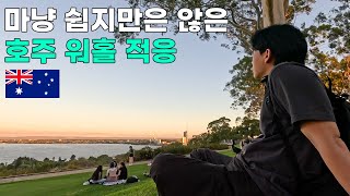 호주 워킹홀리데이의 첫 걸음 유심 통장 개설 TFN USI 호주 물가  호주 워홀 2 [upl. by Sairacaz]