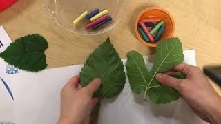 Crayon Leaf Rubbing [upl. by Brunn]