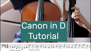 Canon in D Melody Cello Tutorial by Cello Tutorial [upl. by Daniala]