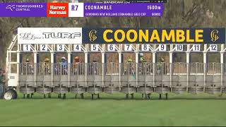 2024 Coonamble Cup [upl. by Llerryt]