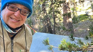 JMT 2024  Day 9 Part 1  Stealth Camping with my Ultralight Tarp and UL Gear [upl. by Neiviv]