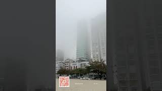 Balneário Camboriú AO VIVO [upl. by Ahtiuqal172]