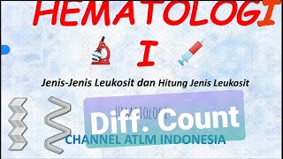 15 Menghitung Jenis Leukosit Diff Count bagi ATLM Analis Kesehatan [upl. by Andree617]