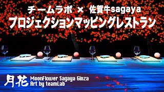 新感覚！チームラボ演出のエンタメレストラン★「月花」は映像と音と味のコラボレーション [upl. by Koren]