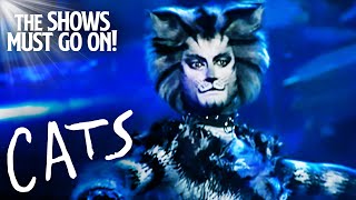 Jellicle Songs for Jellicle Cats  Cats The Musical [upl. by Silletram782]