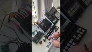 Explaining my live setup 🎛️ torsot1 elektron syntakt torsoelectronics [upl. by Donnell]