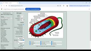 THATQUIZ USO DE HERRAMIENTA DIGITAL PARA EVALUACIONES [upl. by Gregrory440]