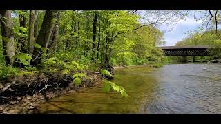 BigFoot Canyon State Road Covered Bridge Bear Creek Waterfall Conneaut Ohio [upl. by Edas]