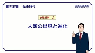 【世界史】 先史時代１ 人類の出現と進化 （１１分） [upl. by Phionna]