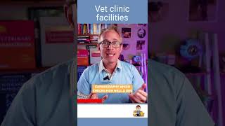 How Vet Clinics Ensure Safe Anesthesia for Pets [upl. by Madalena814]