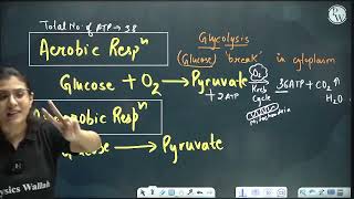 class 9produce plant 🪴 during respiration youtubevideo viralvideo [upl. by Llehsyt]