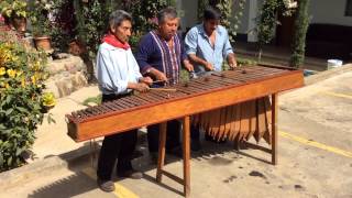 Marimba Nenton  Anamiquin  El Matematico Israel Lopez [upl. by Bradly]