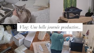 Vlog du 22 Janvier  Une belle journée productive [upl. by Savina]