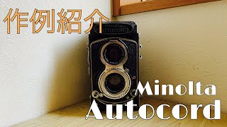 【中判フィルムカメラ】二眼レフ『Minolta Autocord』の作例紹介 [upl. by Schonthal]