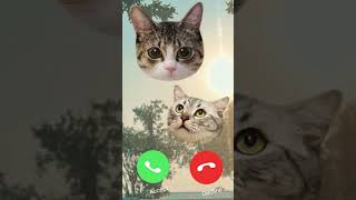 GOOD SOUNDS MI TELEPHONE ☎️ ringtone smartphone shortvideo [upl. by Akkim307]