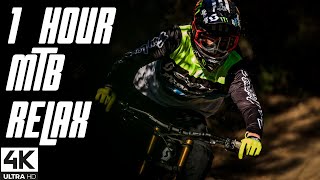 1 HOUR FANTASTIC MTB MIX  Downhill amp Freeride Mountain Biking MTB 2021 4K 39 [upl. by Trojan]