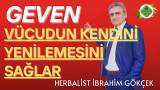 GEVEN Hücre Bölünmesini Destekleyerek Vücudun Kendini Yenilemesini Sağlar [upl. by Woolcott]