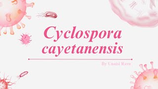 Cyclospora cayetanensis [upl. by Harbed]