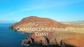 Coast of Granadilla de Abona  Drone Video [upl. by Roybn]