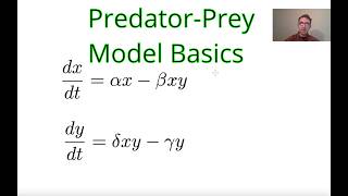 PredatorPrey Model LotkaVolterra Overview and Steady States [upl. by Quinta]