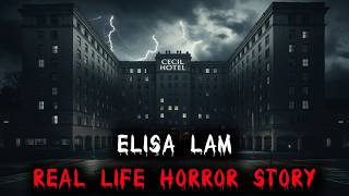 The Elisa Lam Mystery A RealLife Horror Story That Will Haunt You [upl. by Irwinn50]