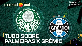 PALMEIRAS X GRÊMIO ONDE ASSISTIR TRANSMISSÃO AO VIVO E HORÁRIO PELO BRASILEIRÃO [upl. by Alrad]