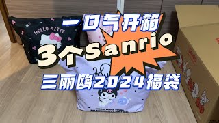 2024日本三丽鸥福袋开箱｜三つサンリオ福袋｜Sanrio ３luckybags unboxing [upl. by Ahsekam588]