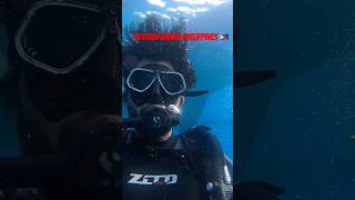 Scooba diving philippines cebu travelvlog [upl. by Adnuahsar]