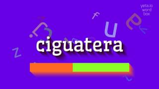 How to say quotciguateraquot High Quality Voices [upl. by Aili740]