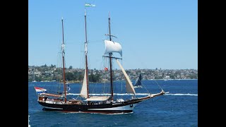 Dutch tall ship Oosterschelde on Sydney Harbour 23112024 [upl. by Joslyn]